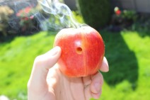 how to make a apple bong